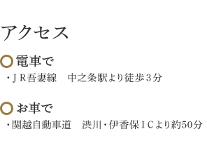 アクセス 【電車で：・ＪＲ吾妻線　中之条駅より徒歩3分】【お車で：・関越自動車道　渋川・伊香保ICより約50分】